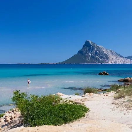 Vela Bianca Casa vacanze